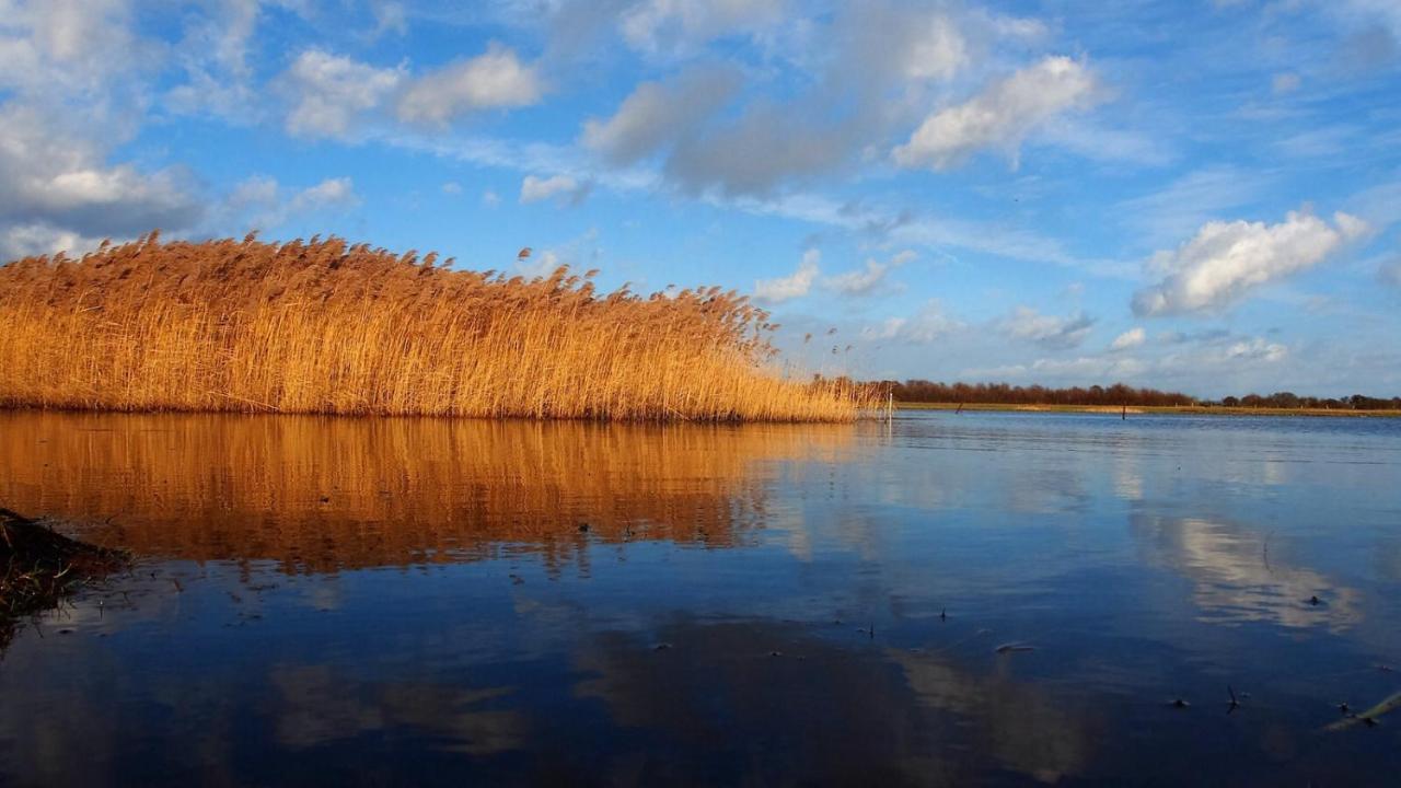 Emilias Hues, Reethaus In Der Bucht Von Wismar Zierow Eksteriør bilde