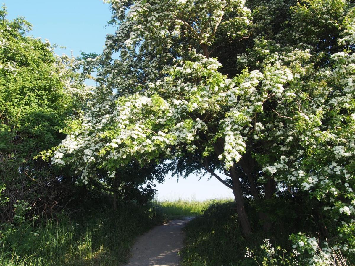 Emilias Hues, Reethaus In Der Bucht Von Wismar Zierow Eksteriør bilde