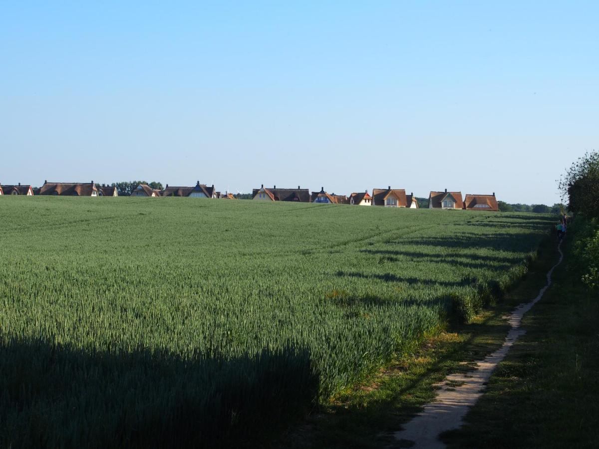 Emilias Hues, Reethaus In Der Bucht Von Wismar Zierow Eksteriør bilde