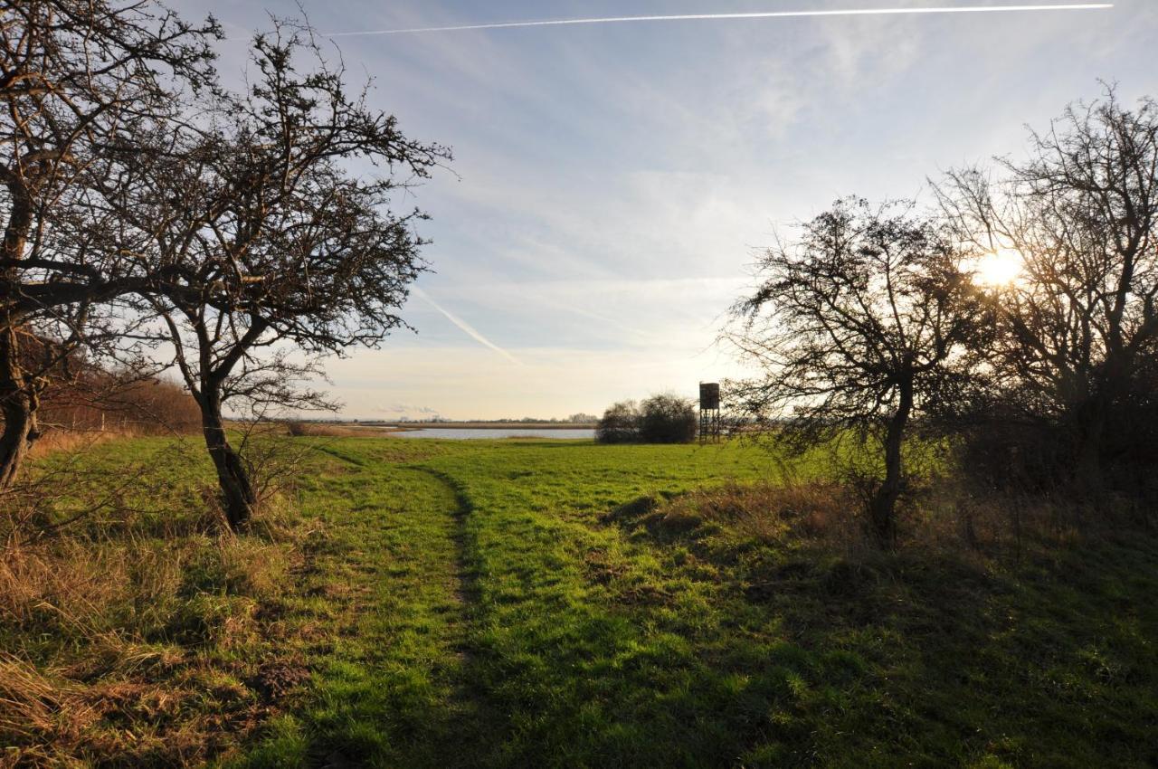 Emilias Hues, Reethaus In Der Bucht Von Wismar Zierow Eksteriør bilde