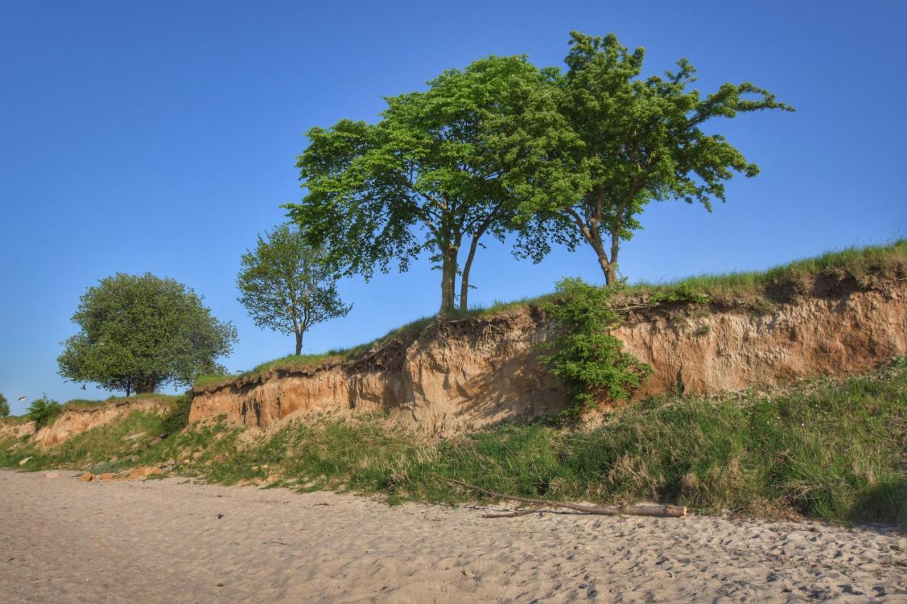 Emilias Hues, Reethaus In Der Bucht Von Wismar Zierow Eksteriør bilde