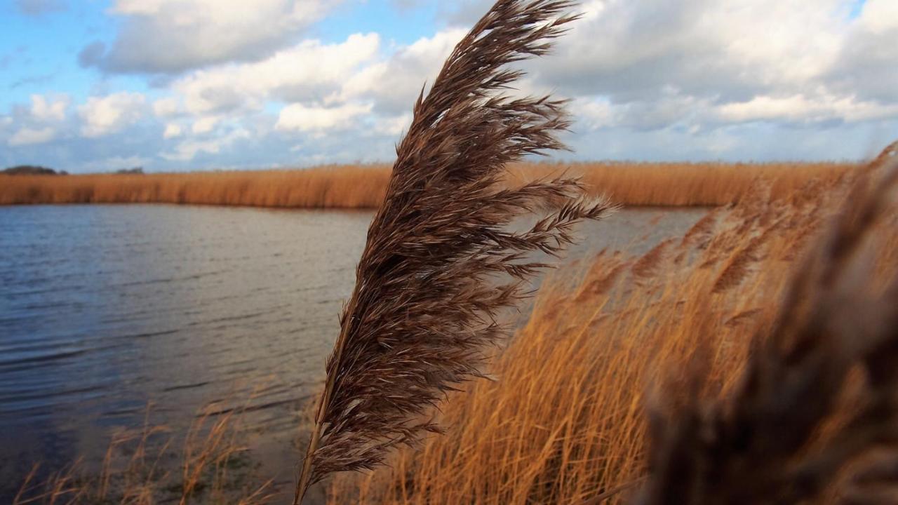 Emilias Hues, Reethaus In Der Bucht Von Wismar Zierow Eksteriør bilde