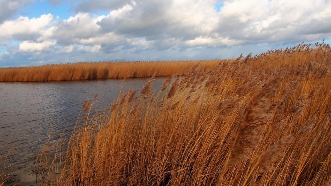 Emilias Hues, Reethaus In Der Bucht Von Wismar Zierow Eksteriør bilde