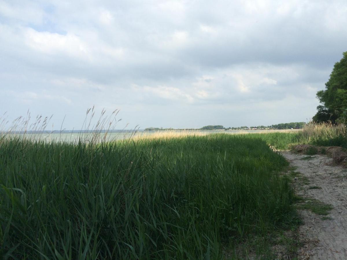 Emilias Hues, Reethaus In Der Bucht Von Wismar Zierow Eksteriør bilde